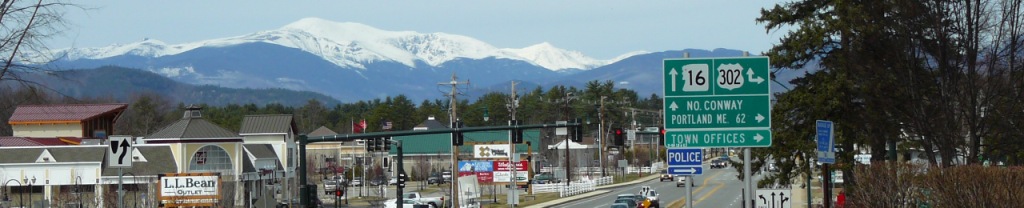 shoppingBanner.jpg
